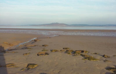 Beach scene