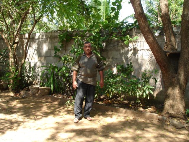 Sri Lanks, Post Tsumani Photo 2